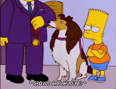 Image result for simpsons medal gif