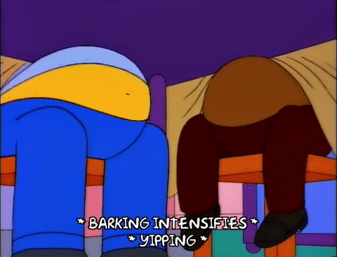 homer belly dancing