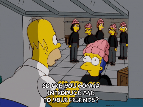 Homer Simpson - Meet your friends 