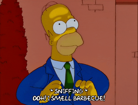 The Simpsons homer simpson season 10 episode 18 bbq