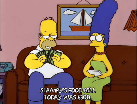 homer couch pop