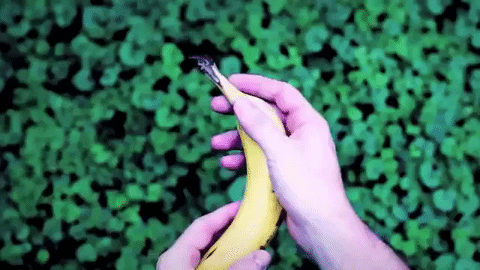 A person holding a banana in two hands and stroking it