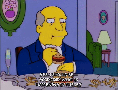 Steamed Hams but it's been rigorously analysed an Aurora Borealis expert The News