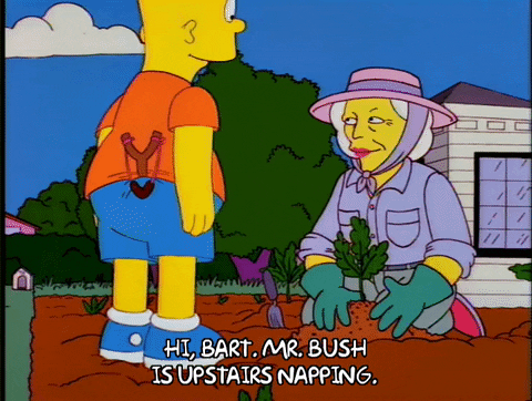 Bart Simpson Episode 13 GIF - Find & Share on GIPHY Bart Simpson Episode 13 GIF - Find & Share on GIPHY