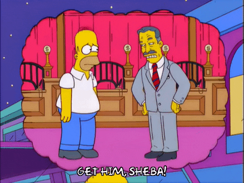 The Simpsons homer simpson episode 5 season 12 homer