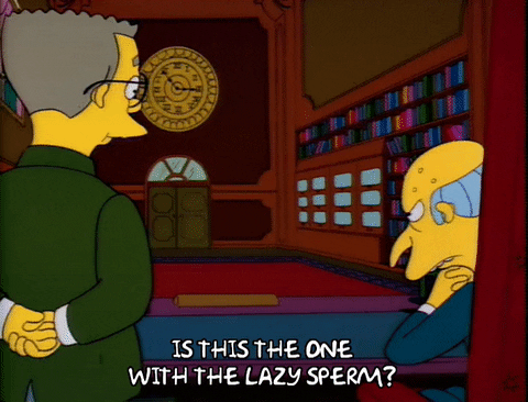 The Simpsons homer simpson season 3 mr. burns waylon smithers