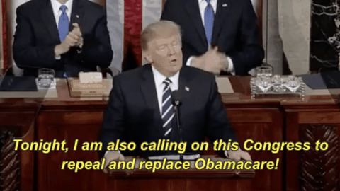 Image result for repeal and replace obamacare