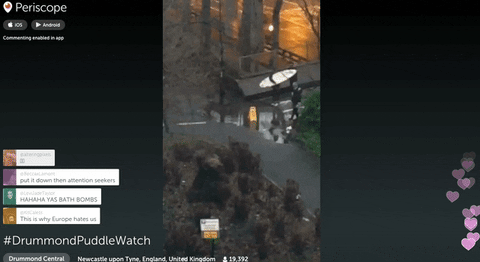 Puddlegate: thousands of britons watching live stream of a puddle