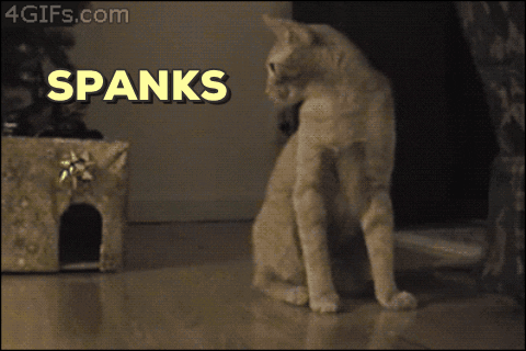 Image result for spank gif