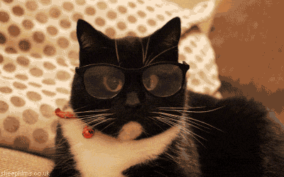 Un gato negro con lentes de aumento volteando a todos lados