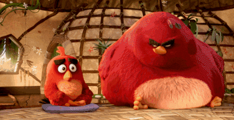 Knockout Punch GIF By Angry Birds Find Share On GIPHY