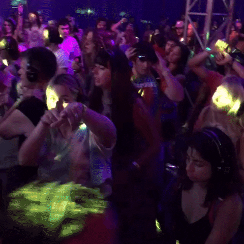 Bonnaroo 2016 GIF by Bonnaroo Music and Arts Festival