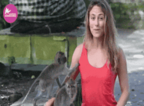 https://media.giphy.com/media/xT8qB1SY1wRvAcqn84/giphy.gif