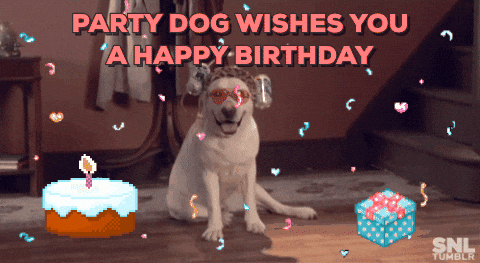 Image result for dog birthday gif