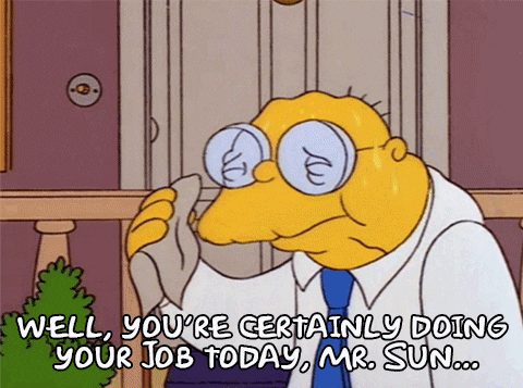 Sunny The Simpsons GIF - Find & Share on GIPHY
