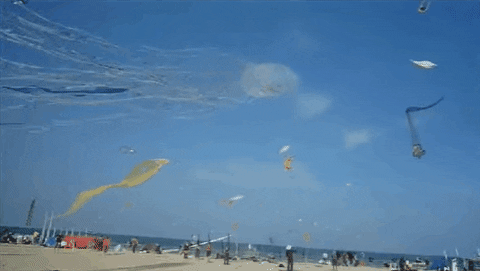 Kite GIF - Find & Share on GIPHY
