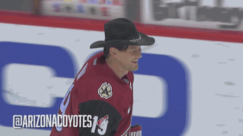 arizona coyotes