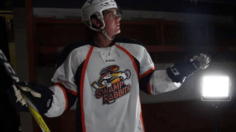 Greenville Swamp Rabbits GIF