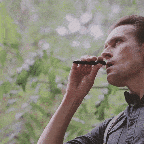 GP 1945 Titanium* Bolt Action Plus Pen Indiegogo