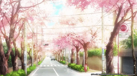 anime