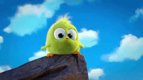 Image result for angry birds gif