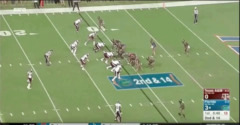 Gator Influence Trap Stuffed By Aggie Press-Sky GIFs - Find & Share on GIPHY