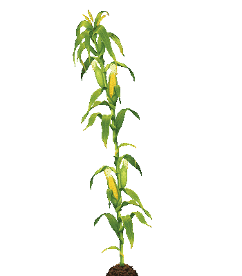 Plant Swaying Sticker by MANGOTEETH