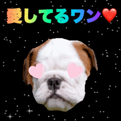 I Love You Dog Gif Find Share On Giphy