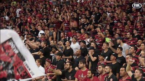 wswanderersfc GIF - Find & Share on GIPHY