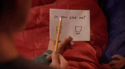 A note that says "Do you like me?" with two check boxes, YES and NO.