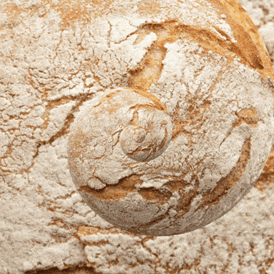 flirting meme with bread images cartoon gif images flirting meme with bread images cartoon gif images