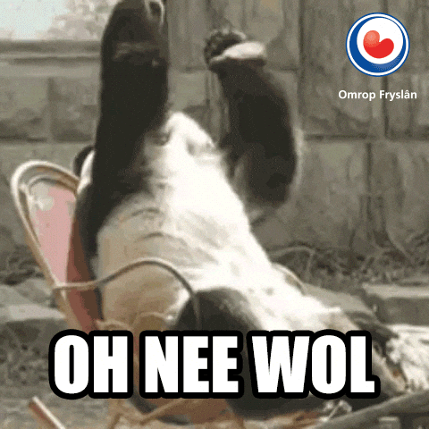 Doh Facepalm GIF by Omrop Fryslân