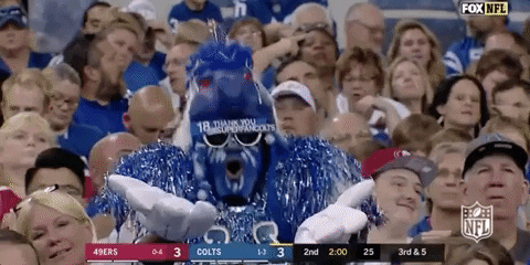 NFL GIF - Find & Share on GIPHY