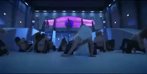 giphy.gif
