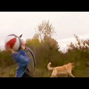 Air Bud GIF