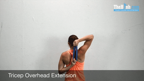 Tricep Overhead Extension - Bài tập cho tay sau