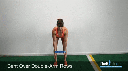 Bent Over Double Arm Rows
