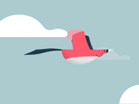 Animation Flying GIF by Oliver Sin - Find & Share on GIPHY