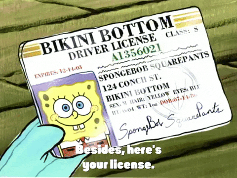 Spongebob gets a license