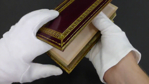 Art in the book best Gif