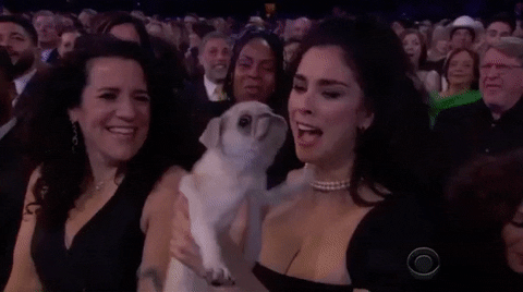 Happy Grammy Awards GIF by Recording Academy / GRAMMYs - Find & Share on GIPHY