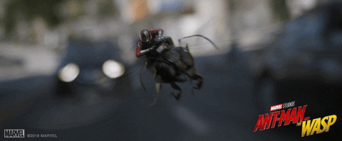 Ant-Man and the Wasp - De franchises weten grotendeels van de top tien van best bekeken films 2018 in te nemen