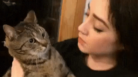 Cat Dont Want Any Kiss