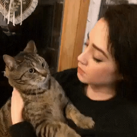 Cat Dont Want Any Kiss in animals gifs