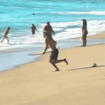 Ultimate Surfing in sports gifs