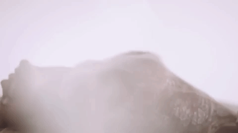 https://giphy.com/gifs/dararolins-xThtaest9FgY1NulYA
