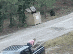 imagenes gif,imagenes graciosas, las mejores imagenes, imagenes graciosas, chistes, risas