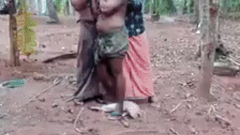 3 people moving such a big coconut tree