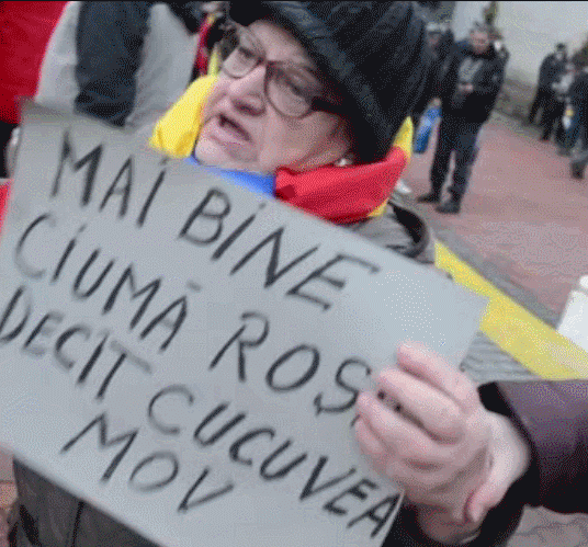 Pitesti GIF - Find & Share on GIPHY