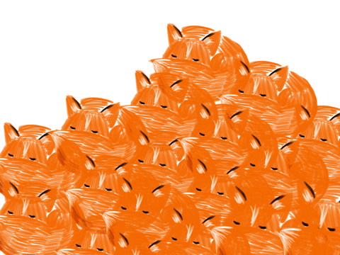Foxes No GIF by Ana Caro